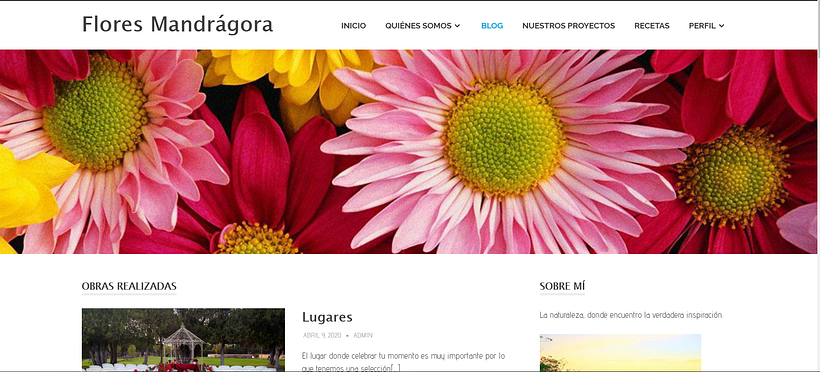 Mi Proyecto del curso: Creación de una web profesional con WordPress 1