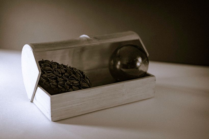 Revelado en B/N con separación de tonos fríos en altas luces y fondo y cálidos en sombras y primer plano.