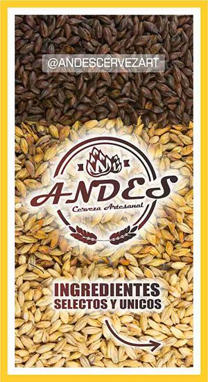 CERVEZA ARTESANAL ANDES : utilice todo suite adobe, Corel draw que les parece 1