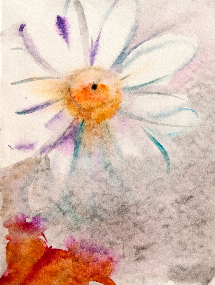 Aquarel·la 0