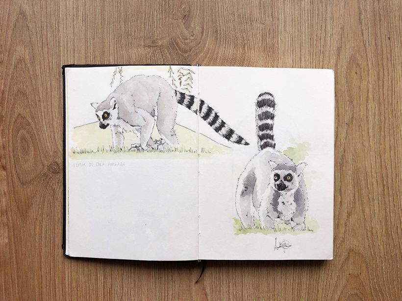 Comparte tu sketchbook con la comunidad 0