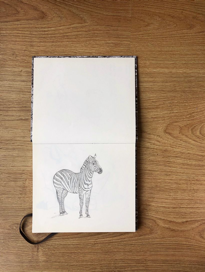 Comparte tu sketchbook con la comunidad 0