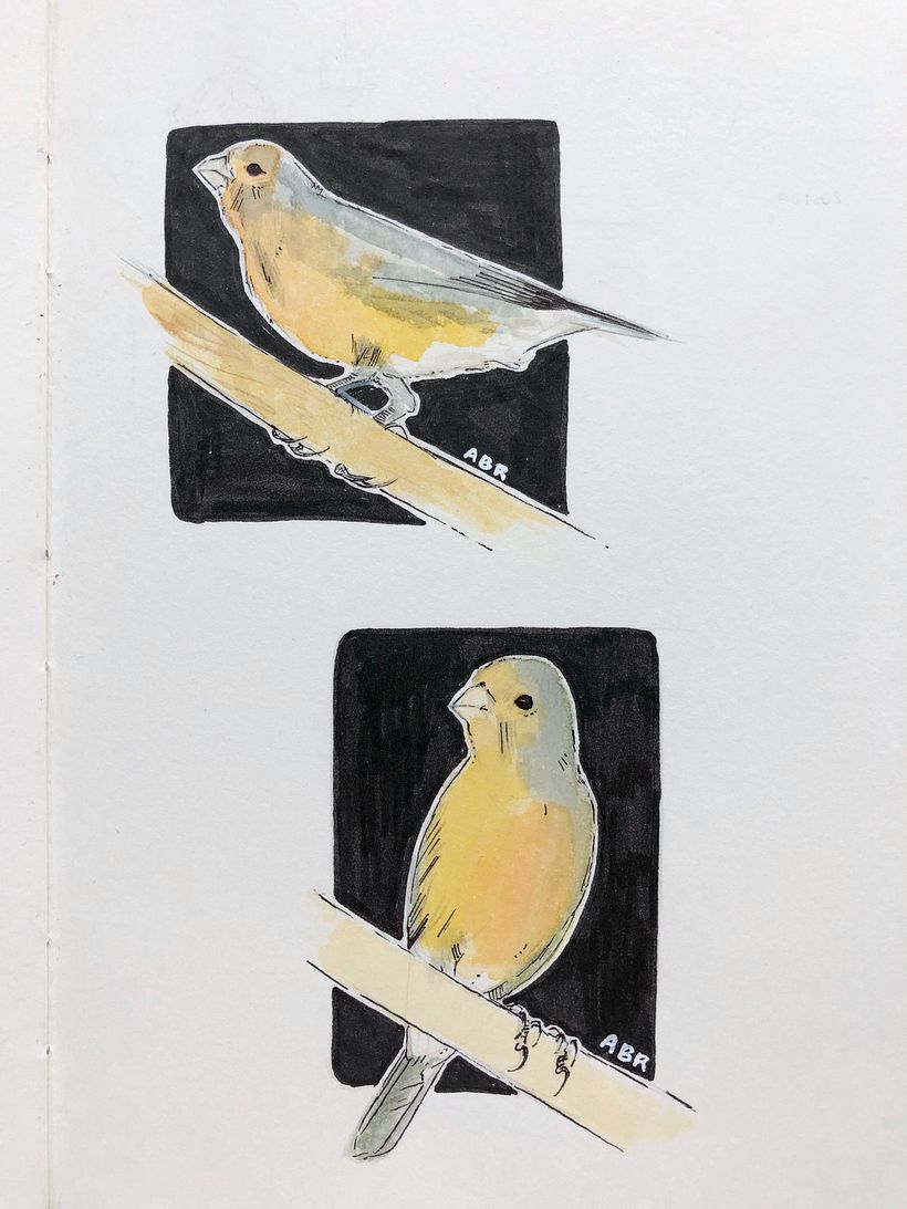 Comparte tu sketchbook con la comunidad 0