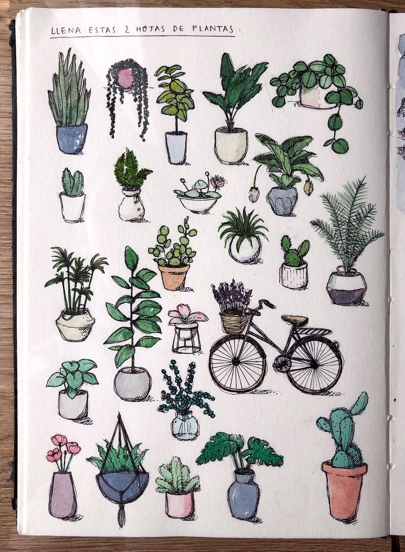 Comparte tu sketchbook con la comunidad 0