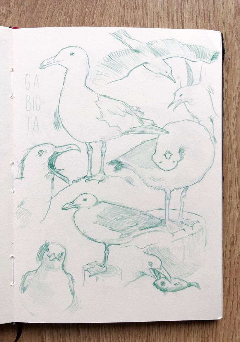 Comparte tu sketchbook con la comunidad 0