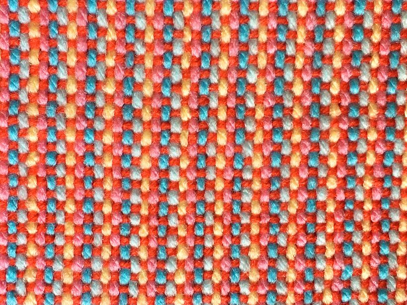 Taffeta (fundamental ligament)