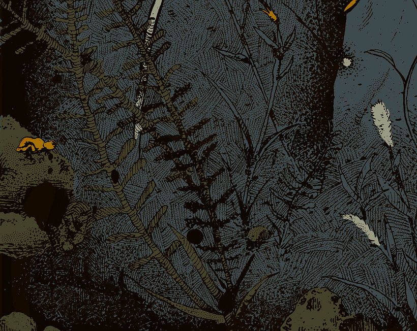 Exploding Skulls  0