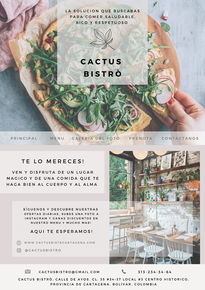 Mi Proyecto del curso: Desarrollo de un plan de medios digitales 0