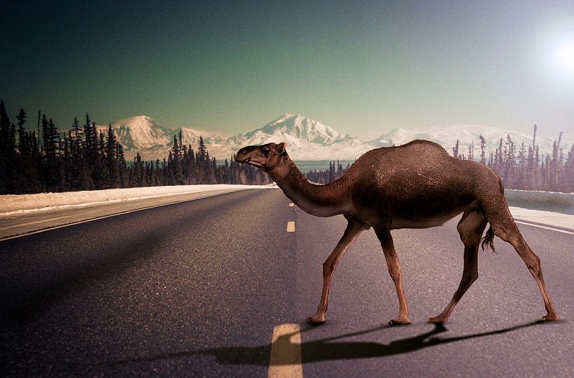 Mi Proyecto del curso: Fotomontaje surrealista con Photoshop 2