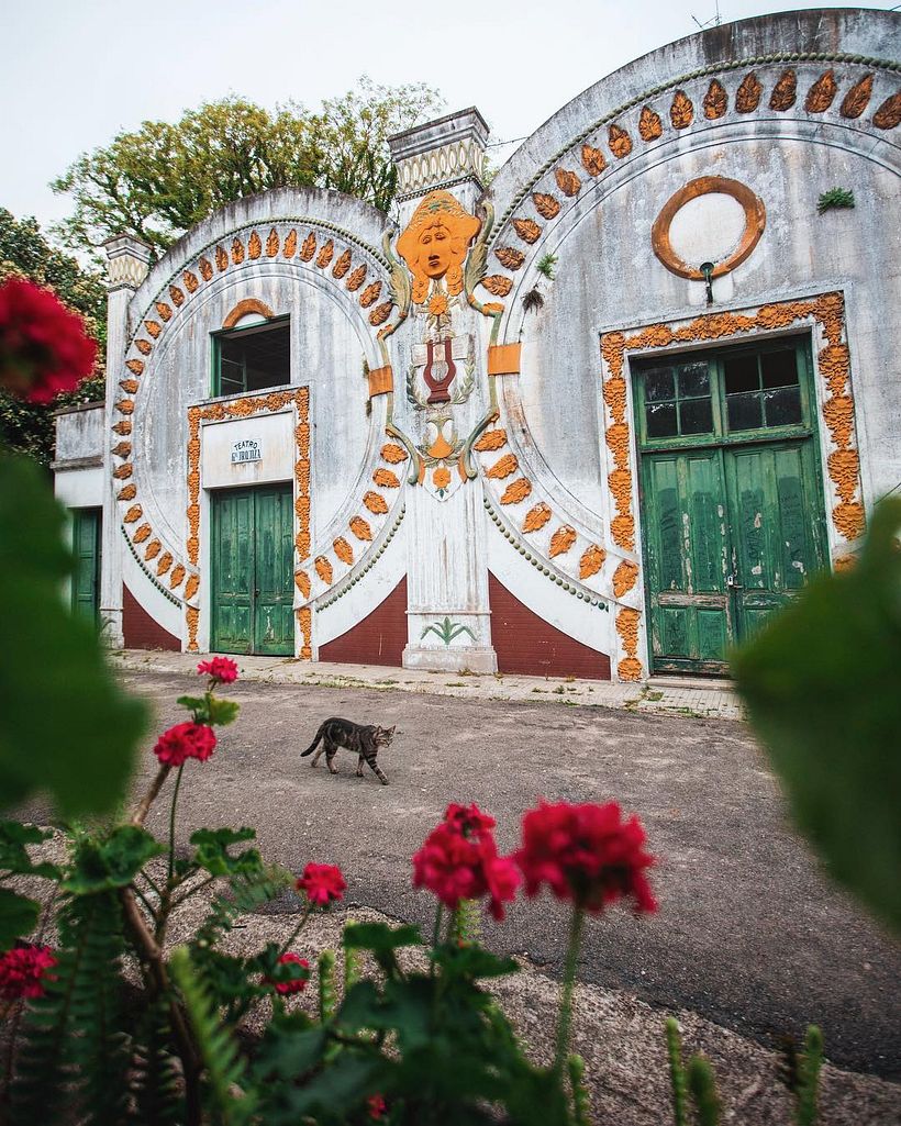Nesta fotografia o gato funciona como o elemento de ponto na composição