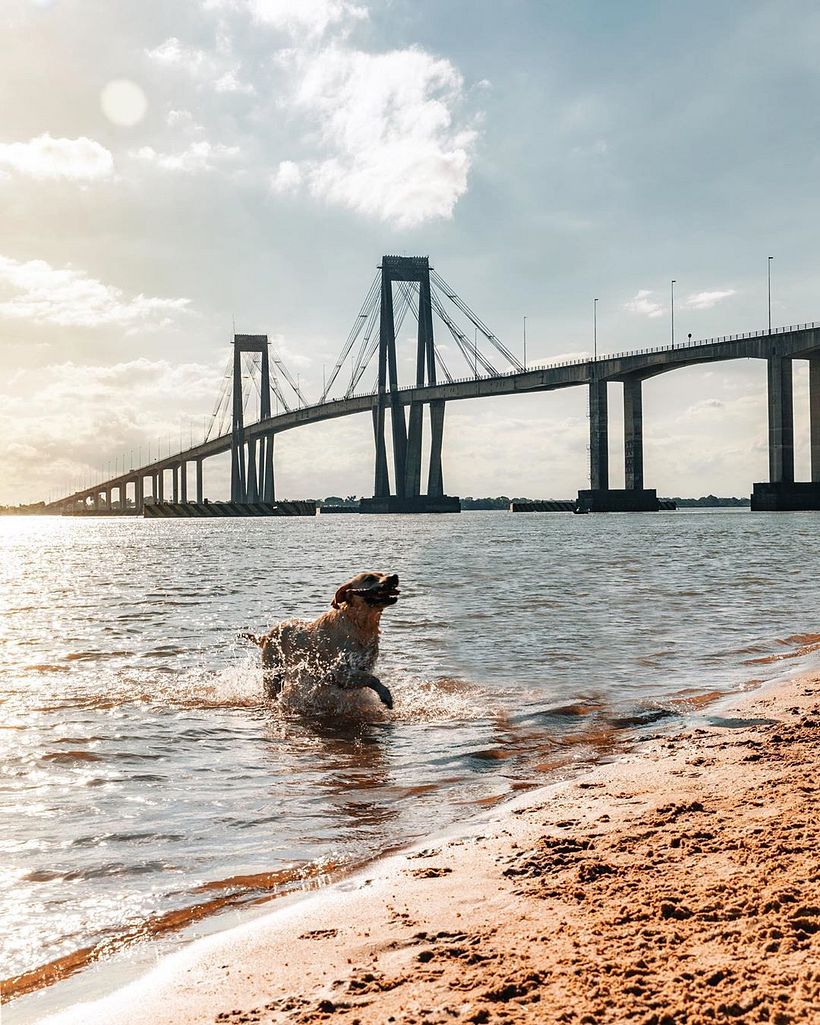 As linhas da ponte e o sujeito focal (o cachorro) marcam a direção da composição