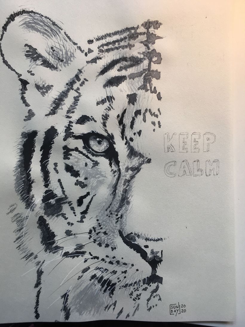 Keep calm tiger 0