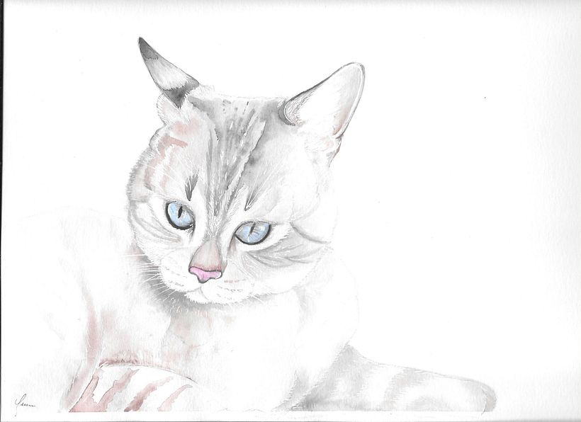 Este es mi proyecto Final. Mi gato Blue