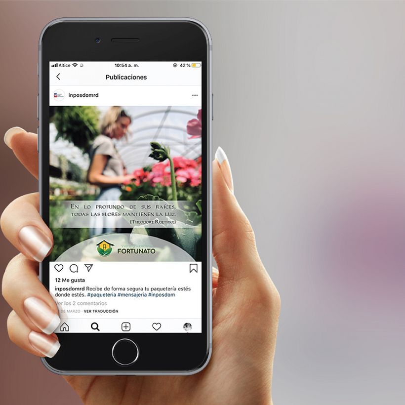 Identidad Corporativa  8