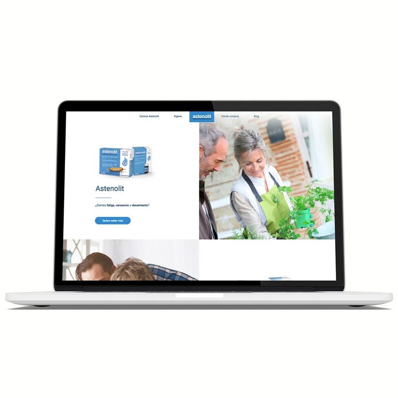 Desarrollo Template Wordpress Desde 0 -1