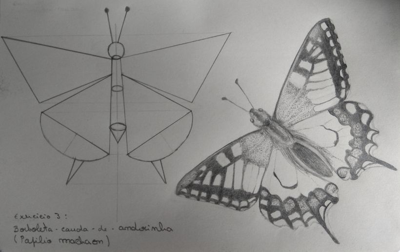 Comparte tu sketchbook con la comunidad 0