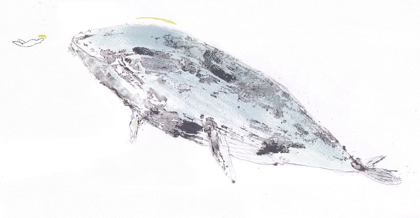 Jonah and the whale 1