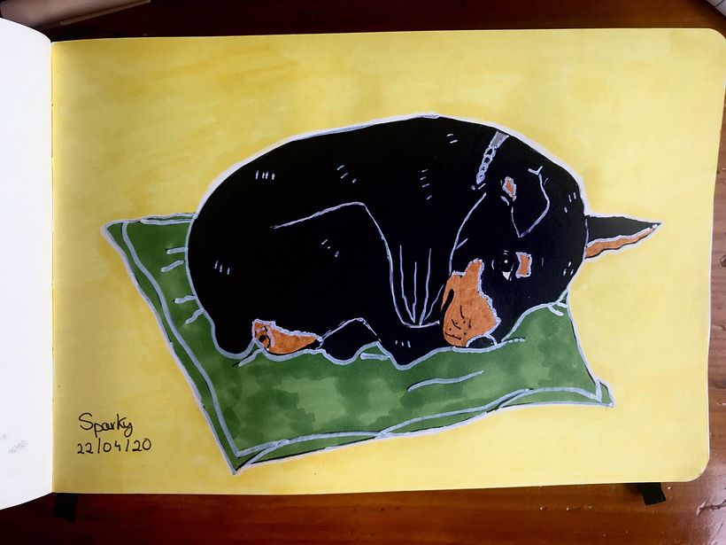 Mi Proyecto del curso: Dibujo para principiantes nivel -1 4