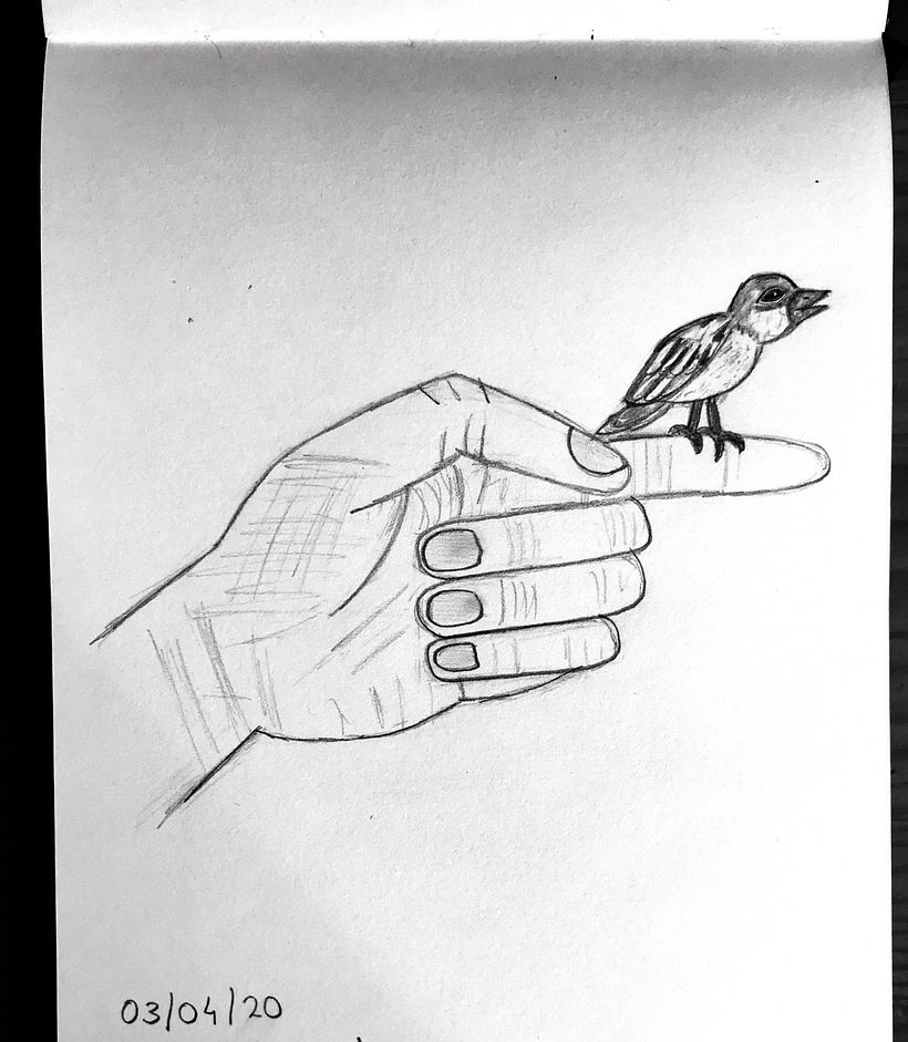 Mi Proyecto del curso: Dibujo para principiantes nivel -1 6