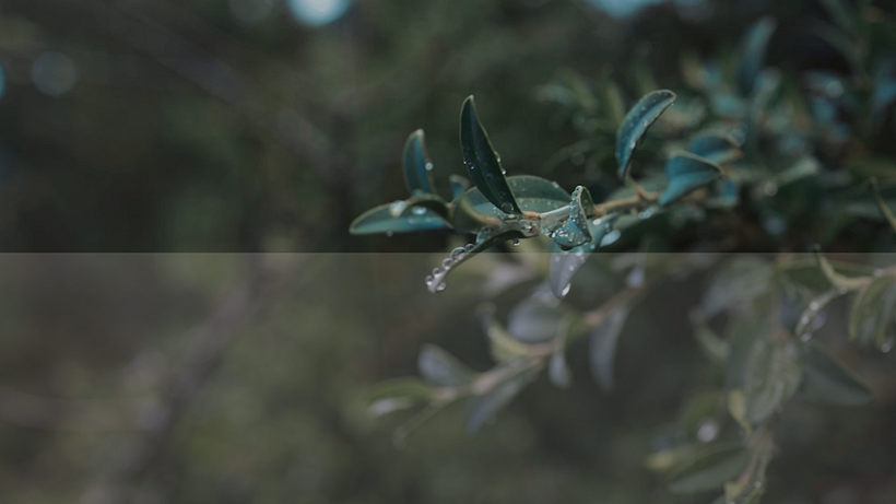 Mi Proyecto del curso: Etalonaje digital con DaVinci Resolve 5