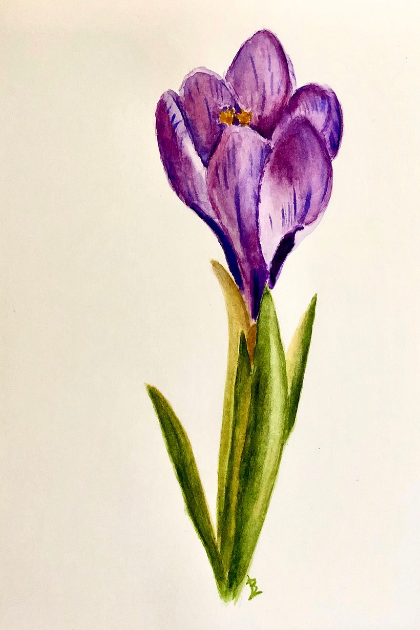 My project in Botanical Illustration with Watercolors course 0