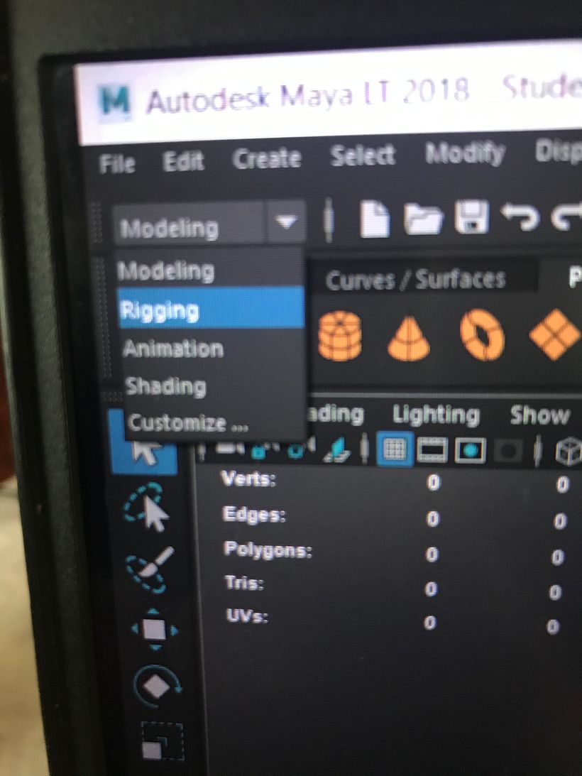 Maya  2018 1