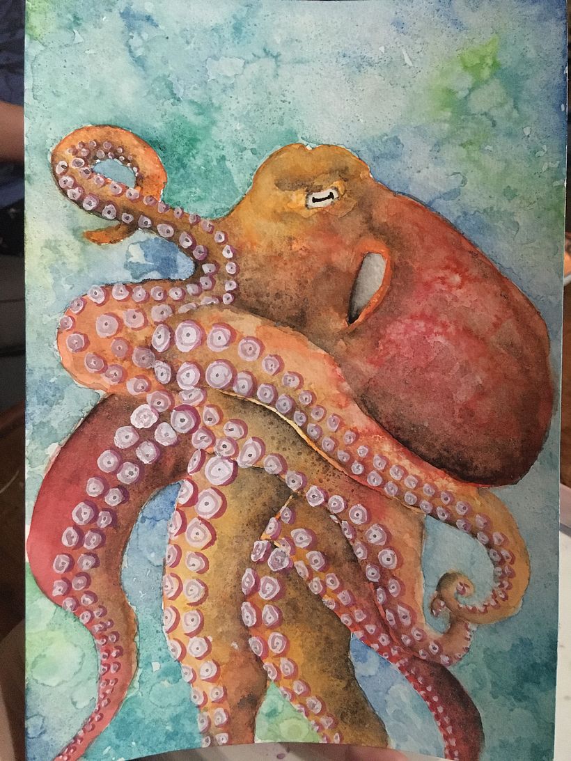 Applied to Octopus 0
