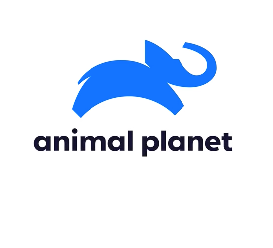 Logotipo final Animal Planet, Sagi Haviv