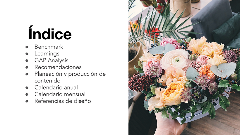 Mi Proyecto del curso: Introducción al community management 2