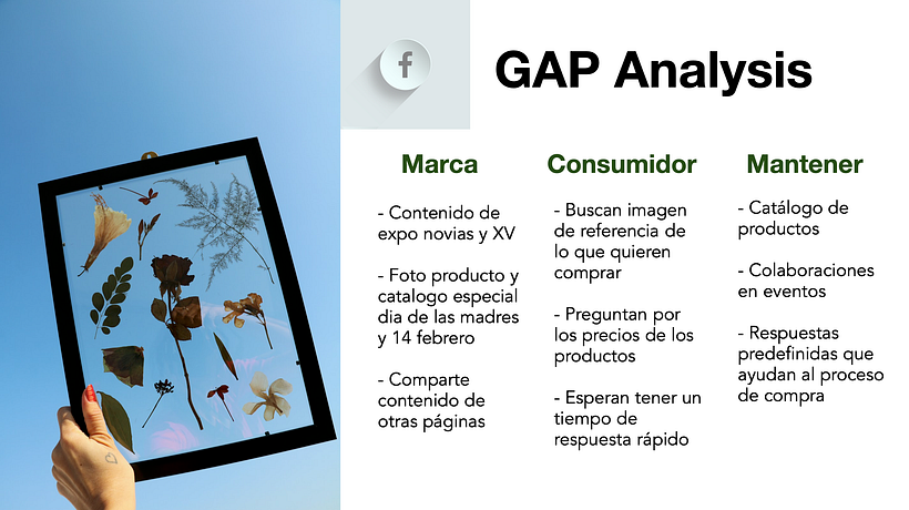 Mi Proyecto del curso: Introducción al community management 25