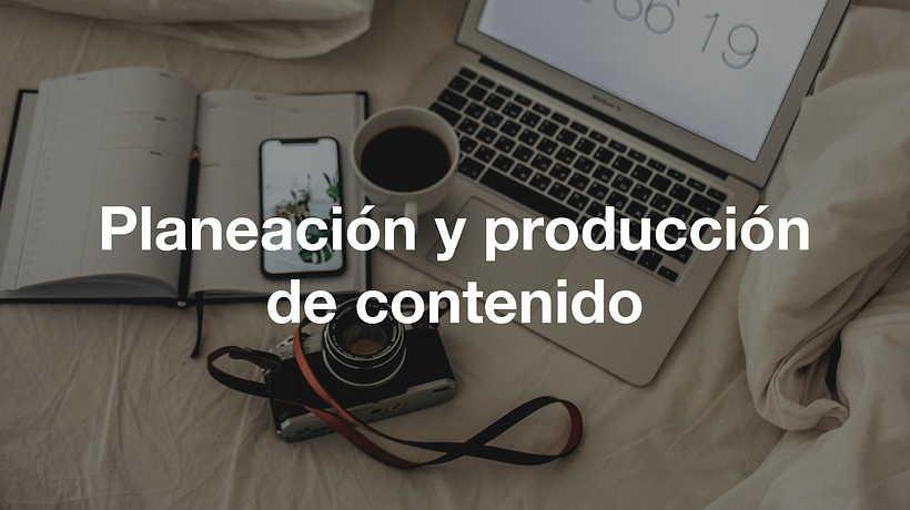 Mi Proyecto del curso: Introducción al community management 28
