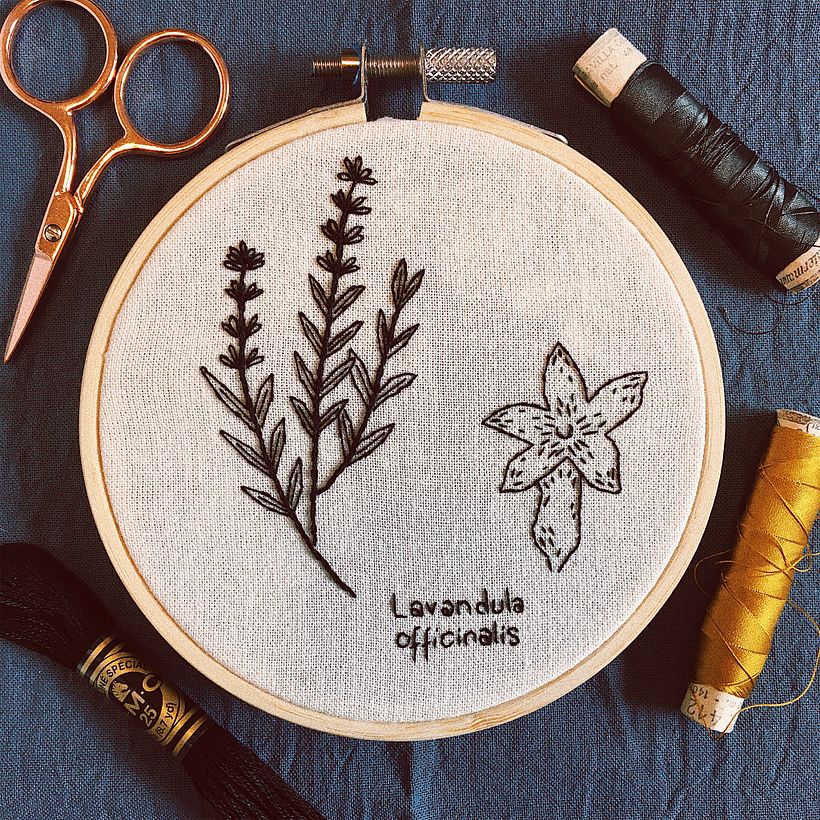 Lavandula officinalis (Lavanda). Bordado en negro estilo grafito.