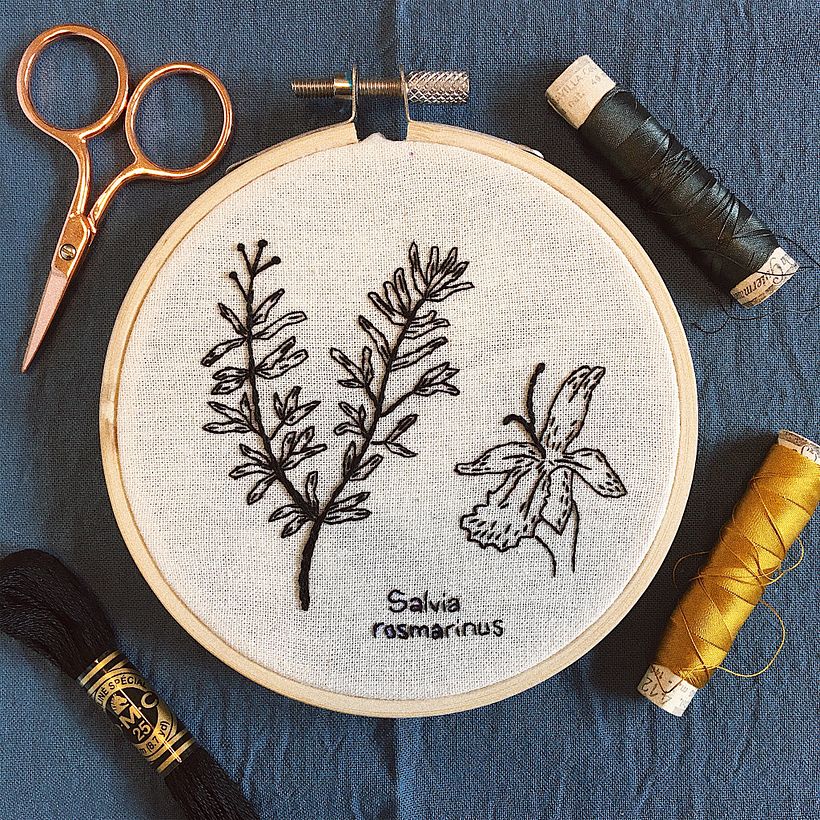Salvia rosmarinus (Romero). Bordado en negro estilo grafito.
