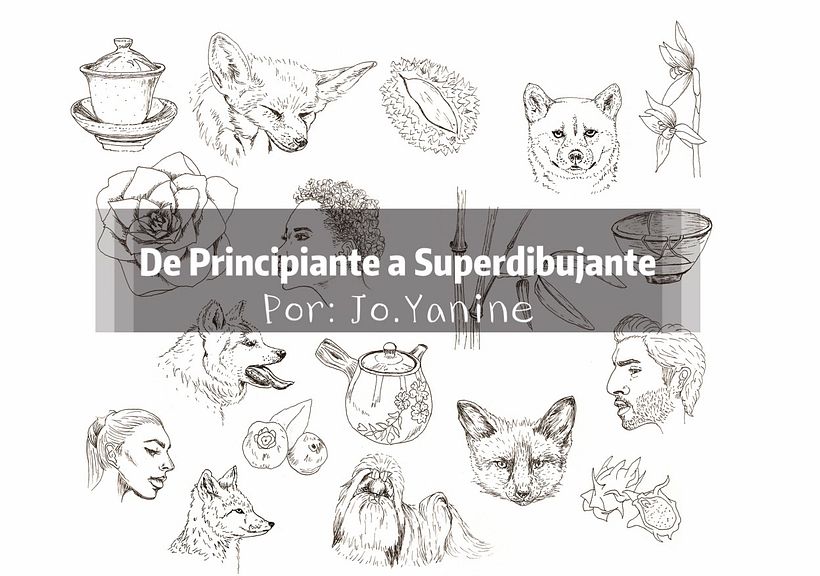 Mi Proyecto del curso: De principiante a superdibujante 0