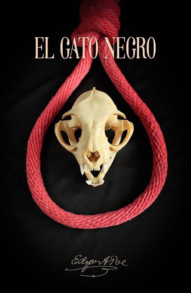 Rediseña la portada de tu libro favorito y gana un curso 0