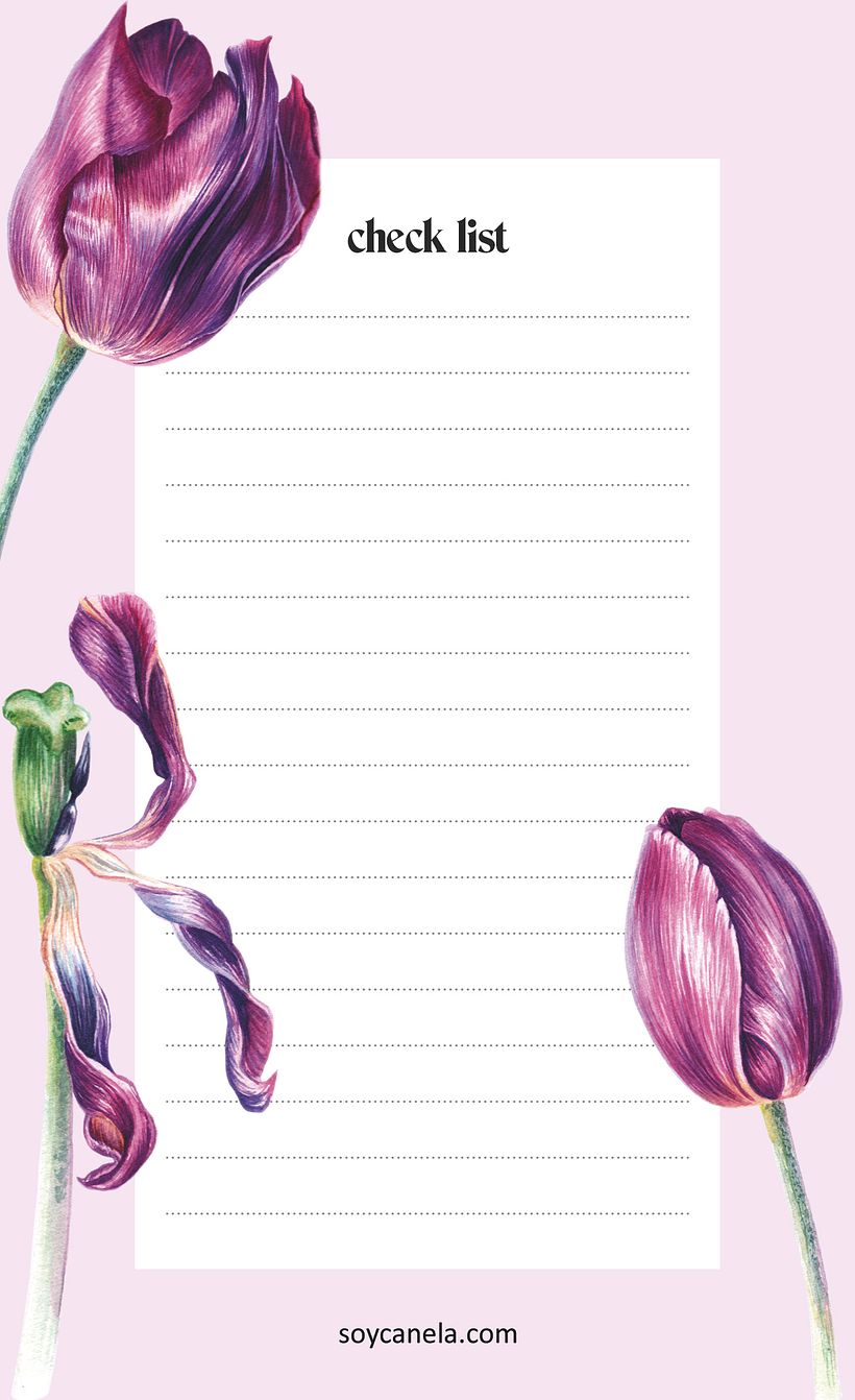 Etapa del Tulipán 2