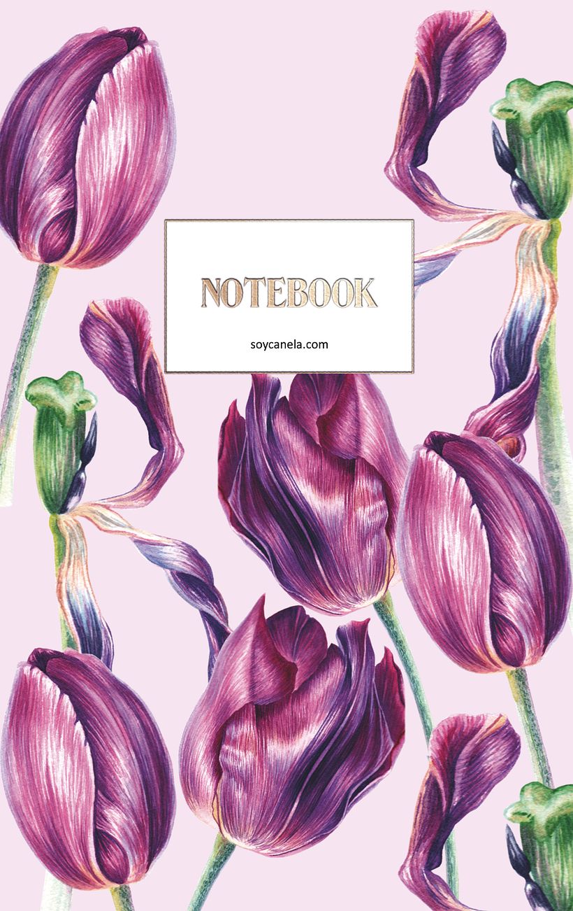 Etapa del Tulipán 3