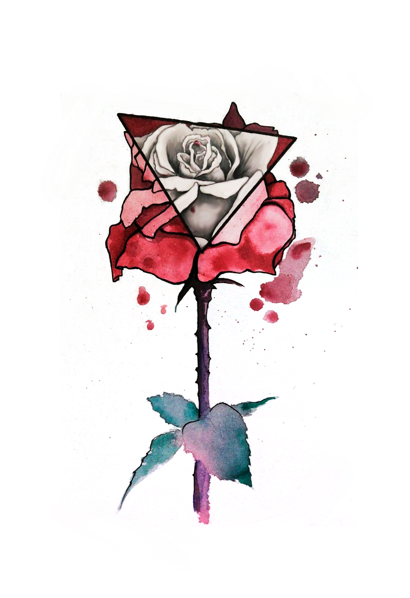 Ilustración Rosa