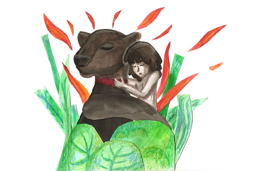 Mi Proyecto del curso: El Libro de la Selva 2