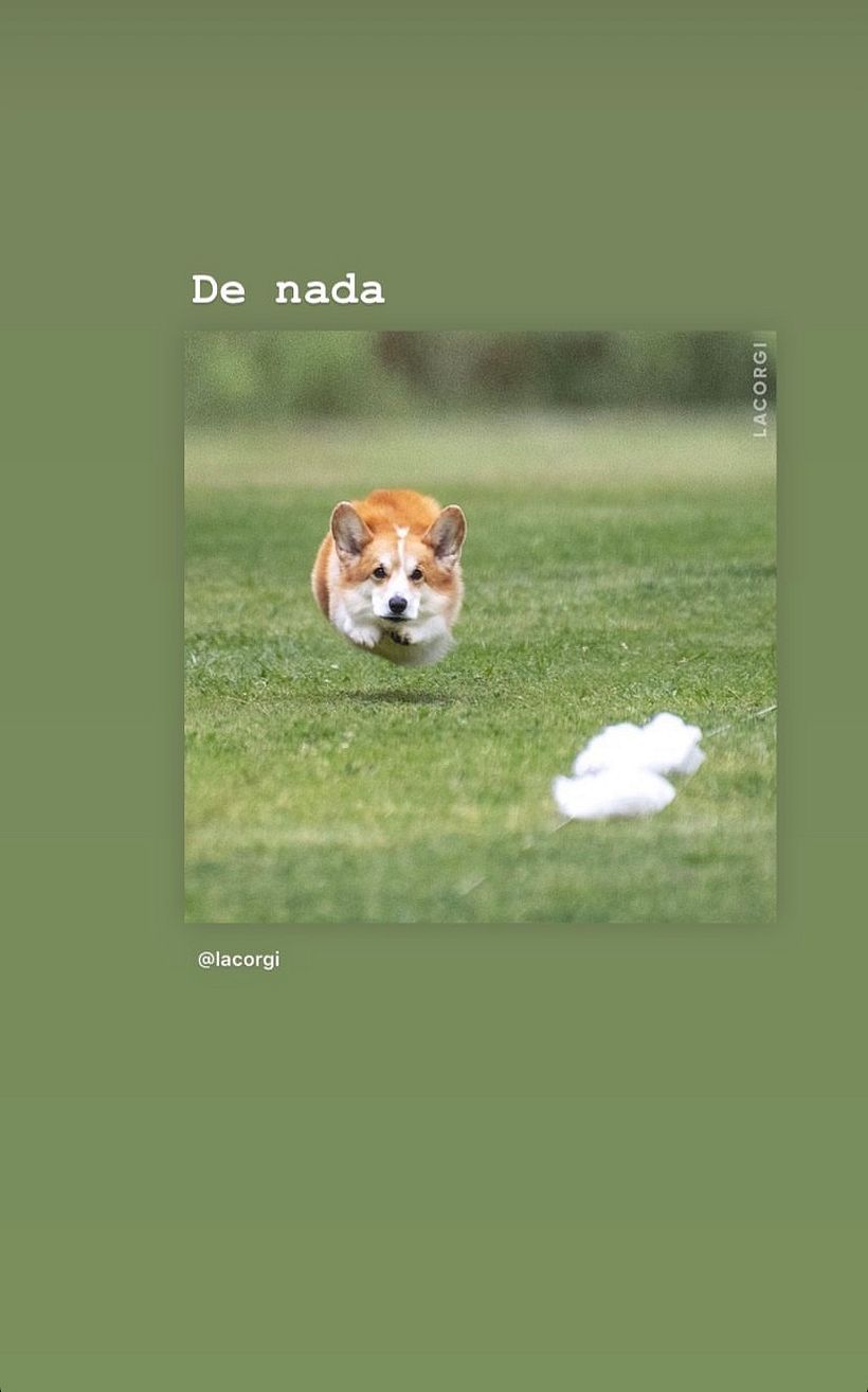 Mi Proyecto estilo de vida del curso: Creación y edición de contenido para Instagram Stories 6