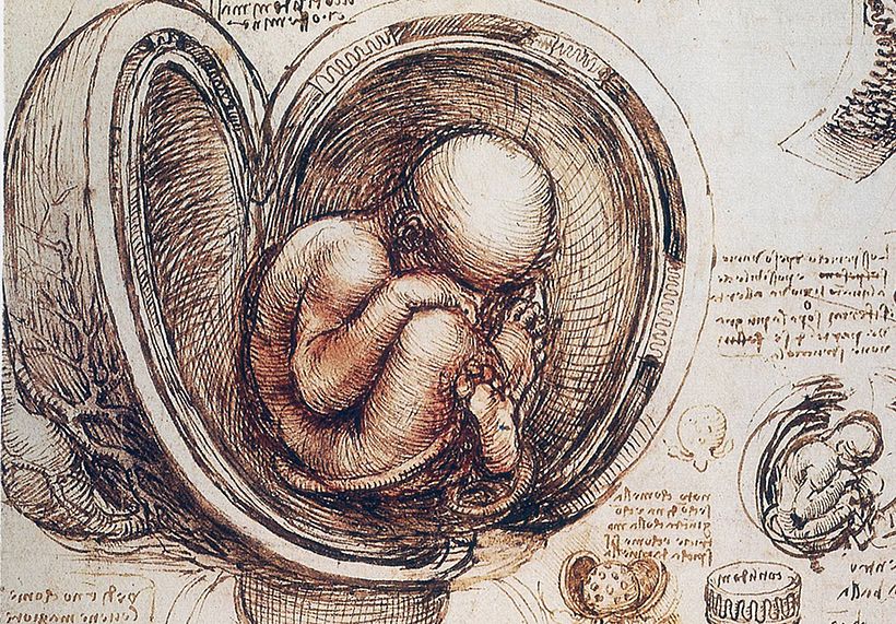 Leonardo Da Vinci