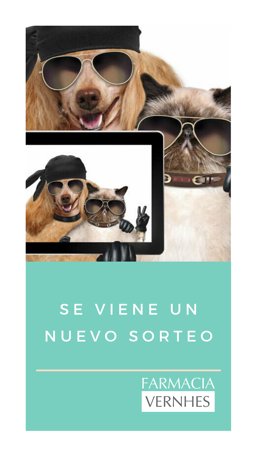 Sorteo día del Animal 0