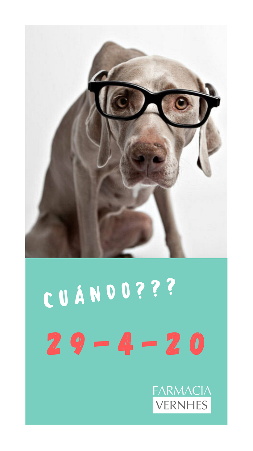 Sorteo día del Animal 1