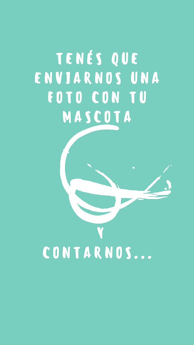 Sorteo día del Animal 2