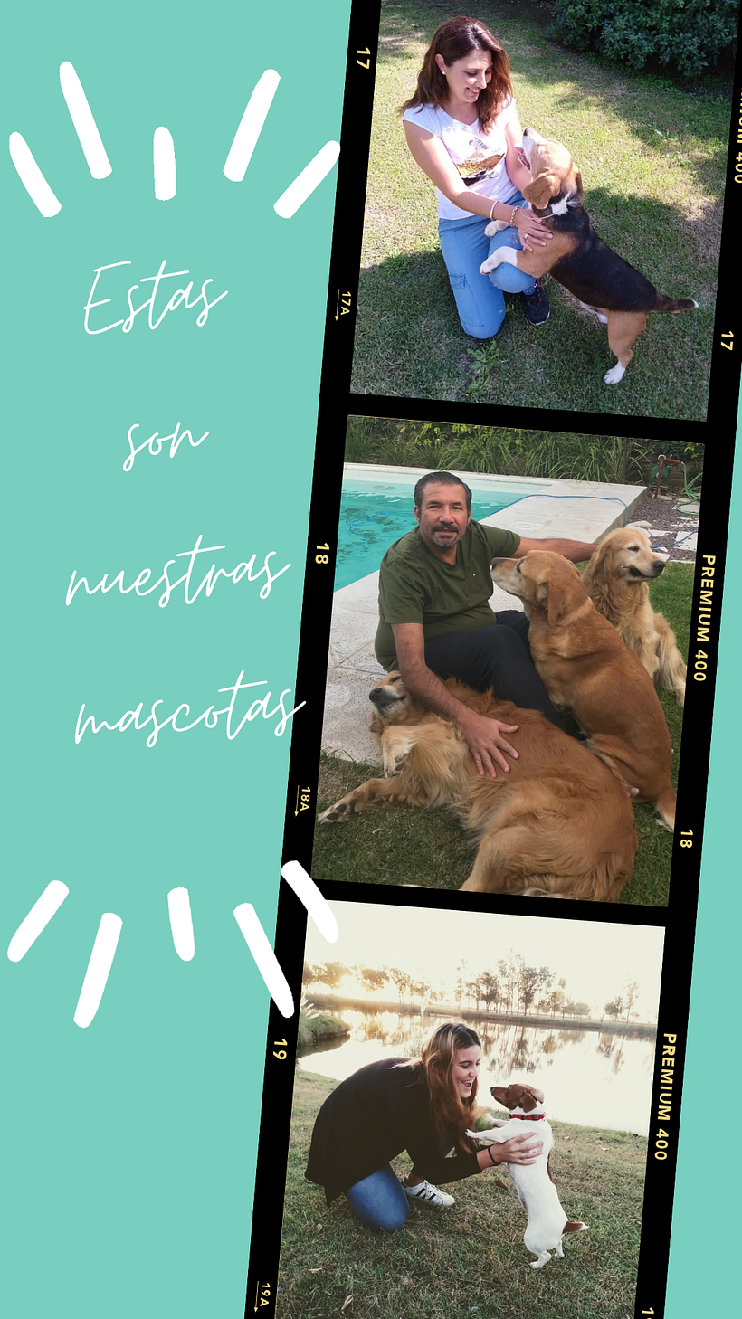 Sorteo día del Animal 4