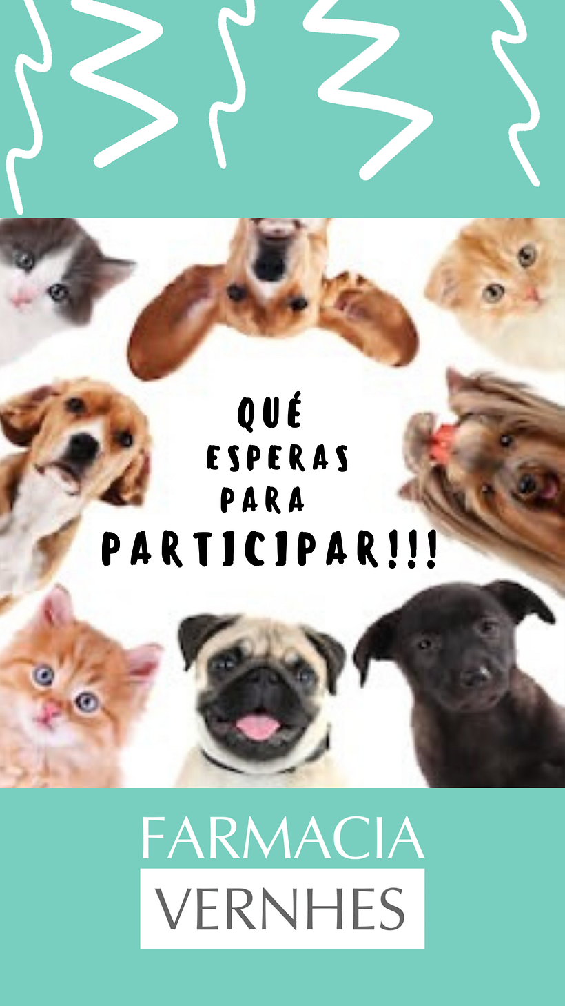 Sorteo día del Animal 5