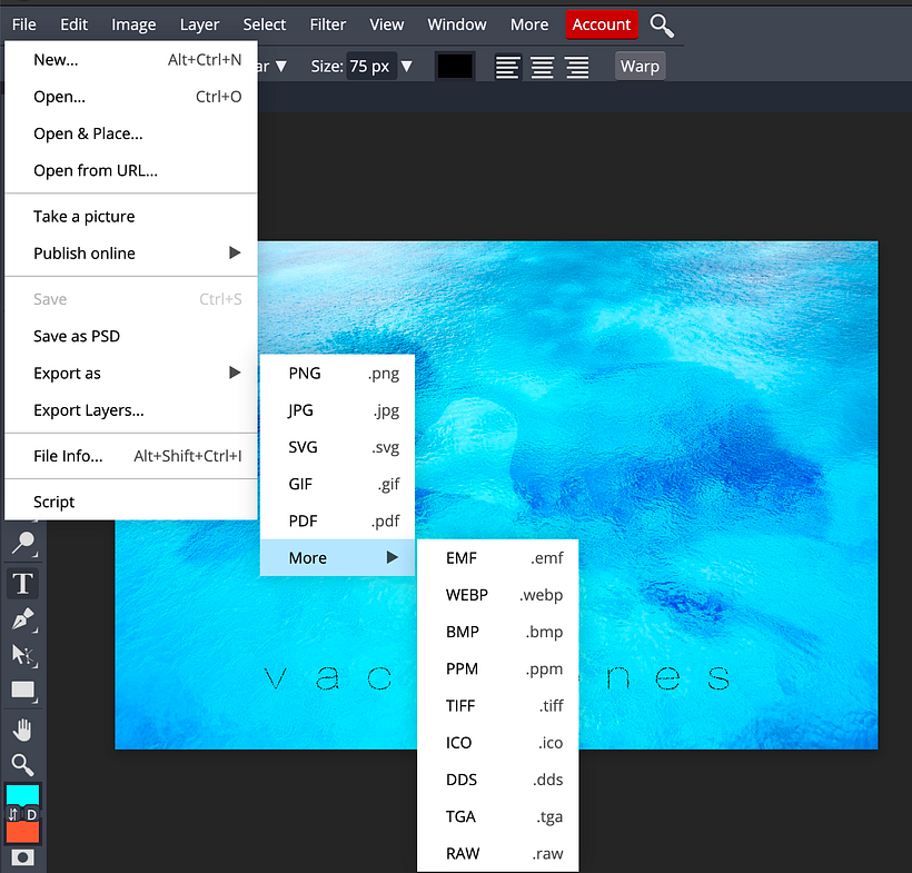 Tips para comenzar a usar Photopea 17