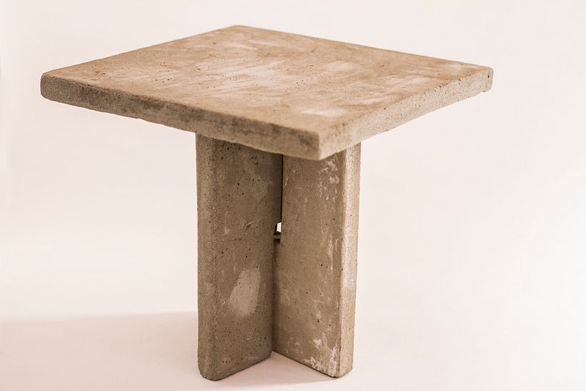 Maceta de concreto con planta calatea - Decoración de interiores