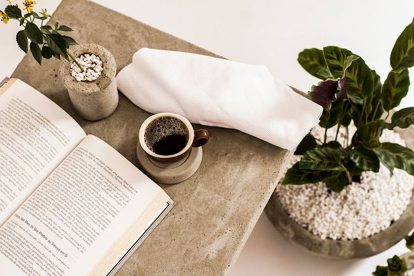 Maceta de concreto con planta calatea - Decoración de interiores