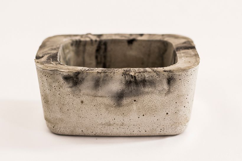 Maceta de concreto con planta calatea - Decoración de interiores